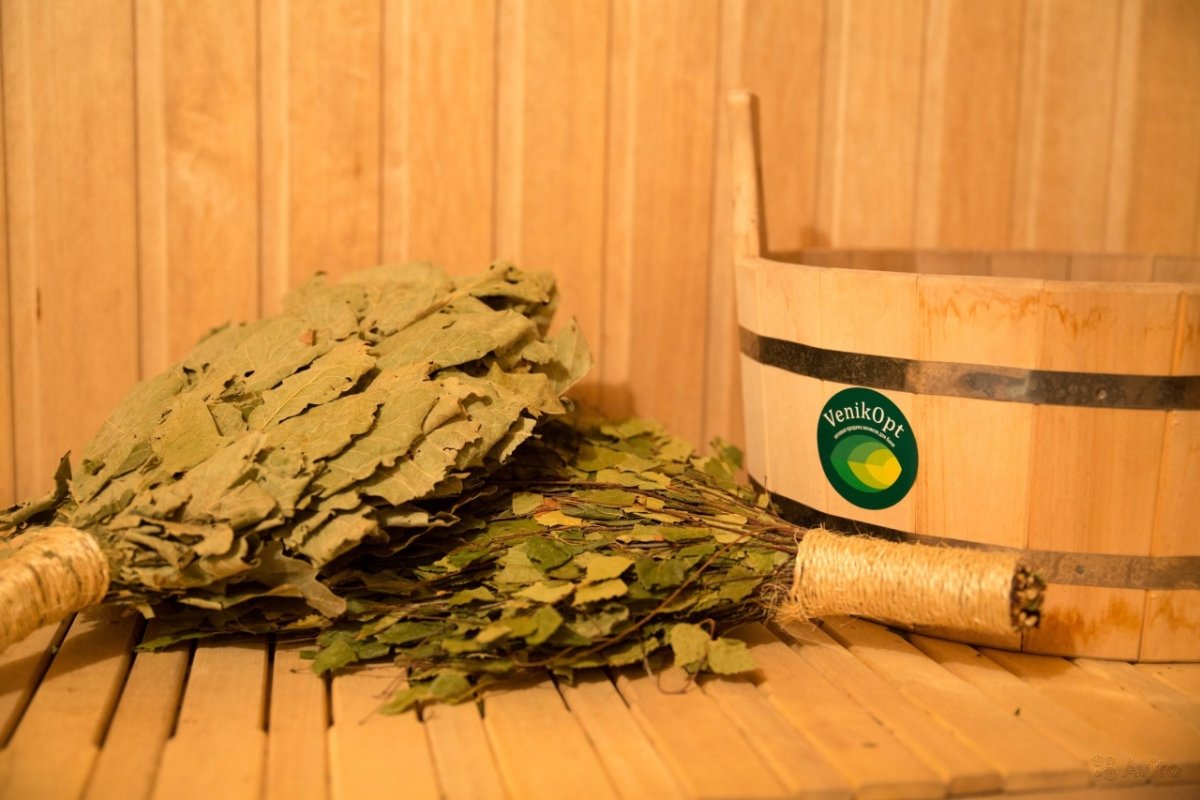 Дубовый велик и пизтовый