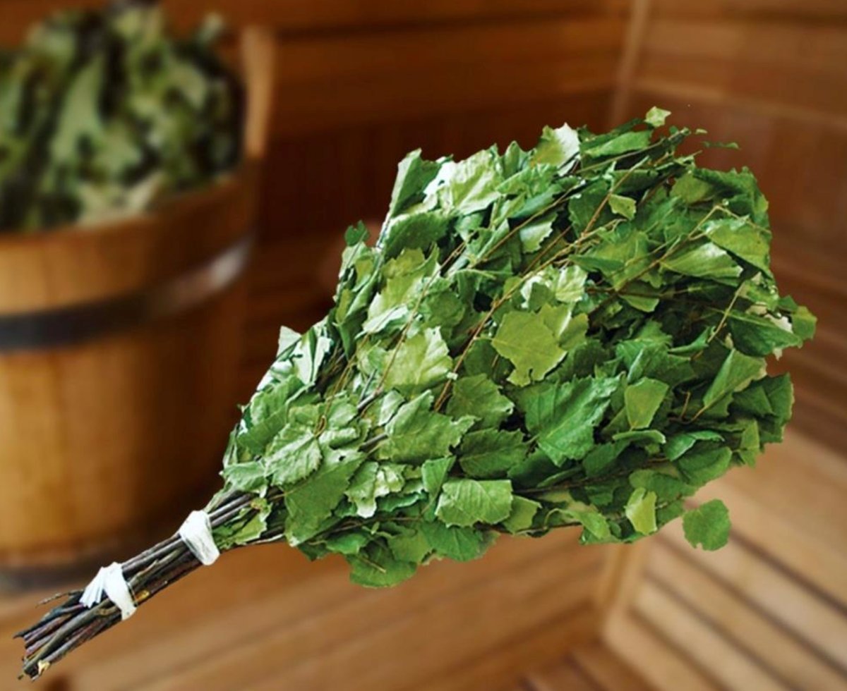 Веник (береза фито) Мелисса