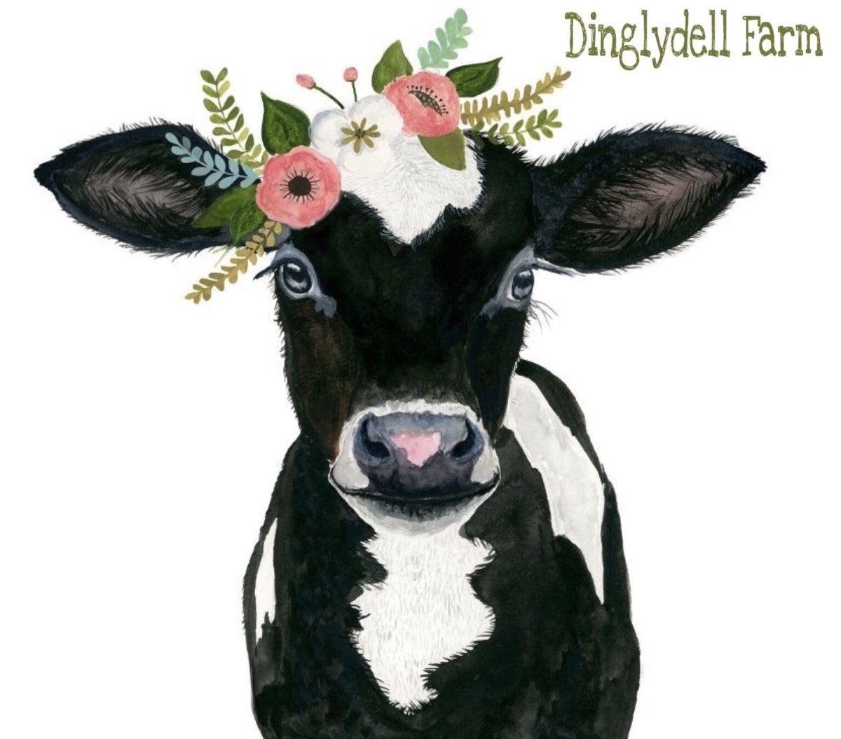 Смешная корова на белом фоне