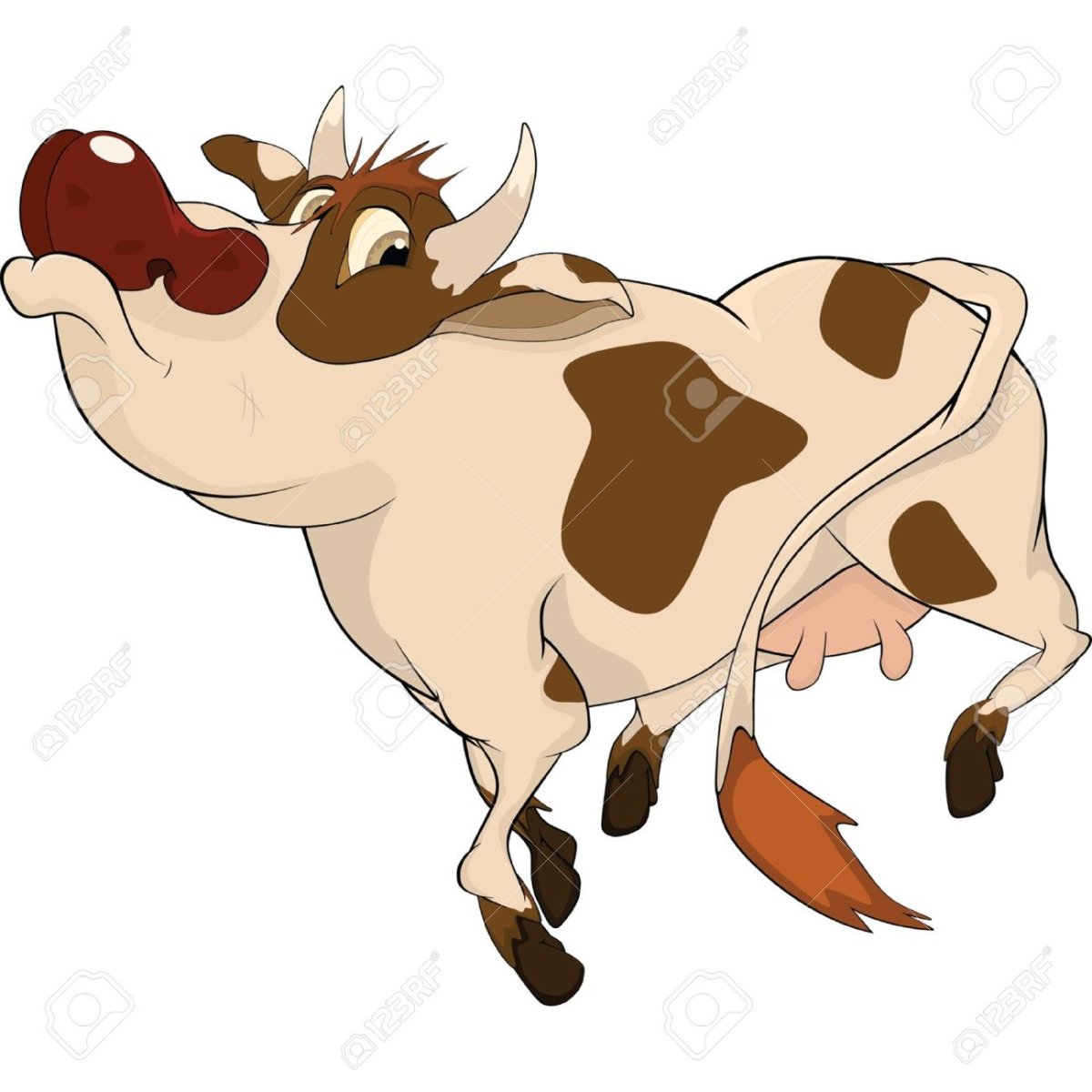 Айрширская порода коров