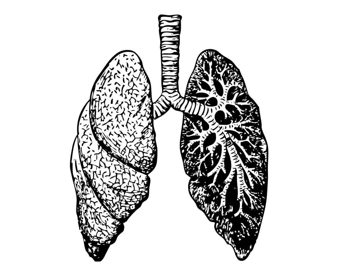 Классные рисунки для срисовки легкие