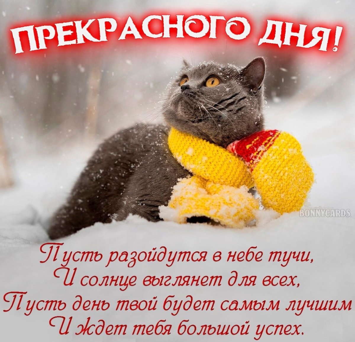 Доброе утро одевайтесь теплее