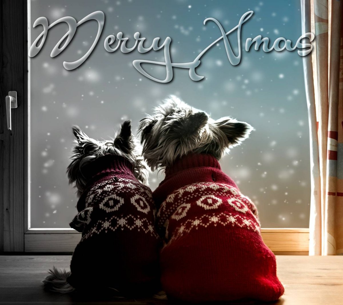 Доброе утро смешные зимние