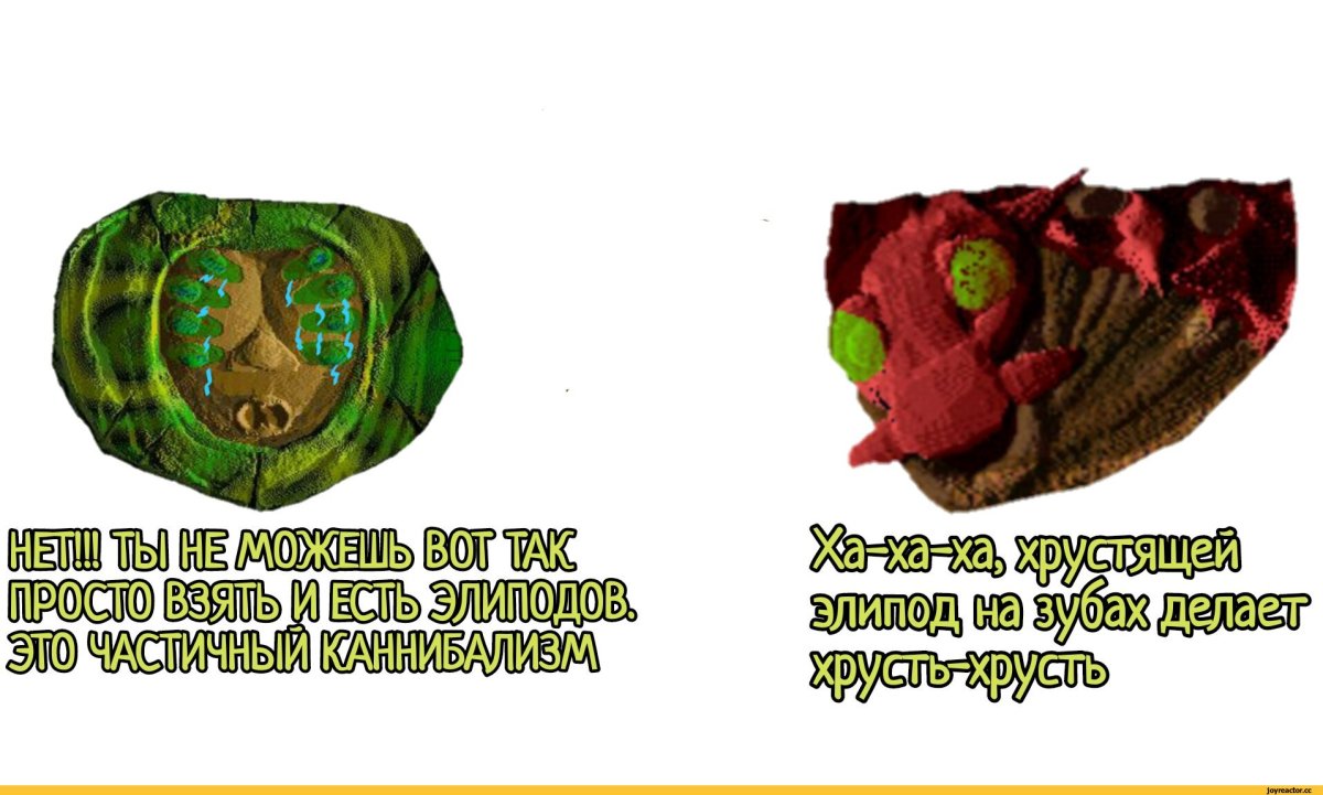 Гиря Вангеры