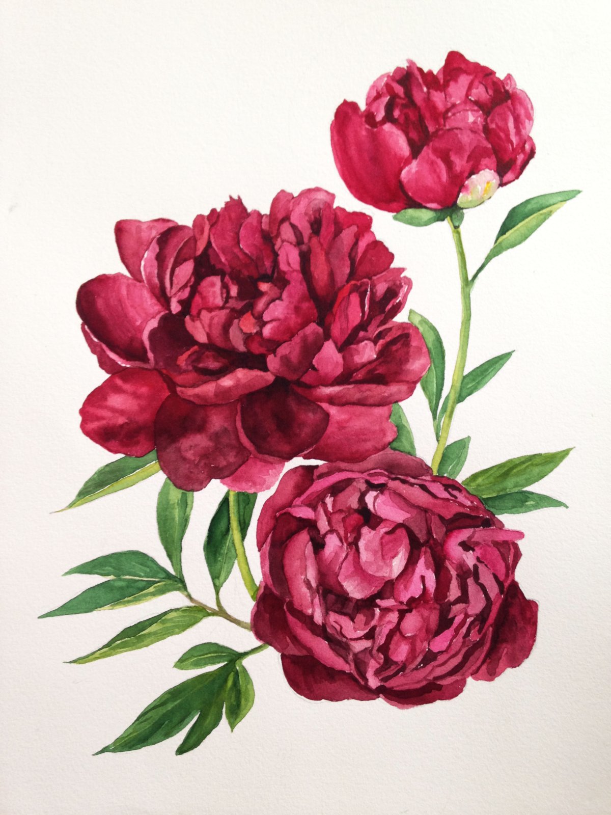 Художник Marianne Broome