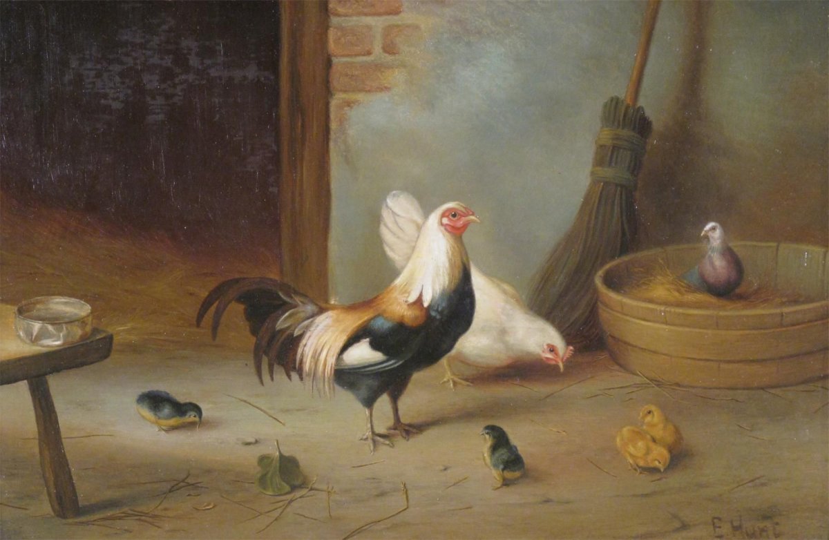 Птичий двор