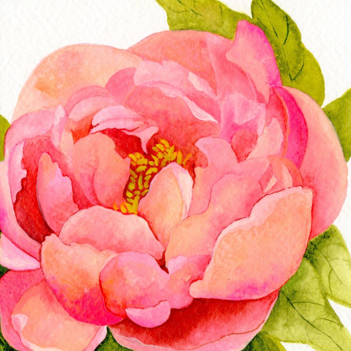 Пион Селебрейшн