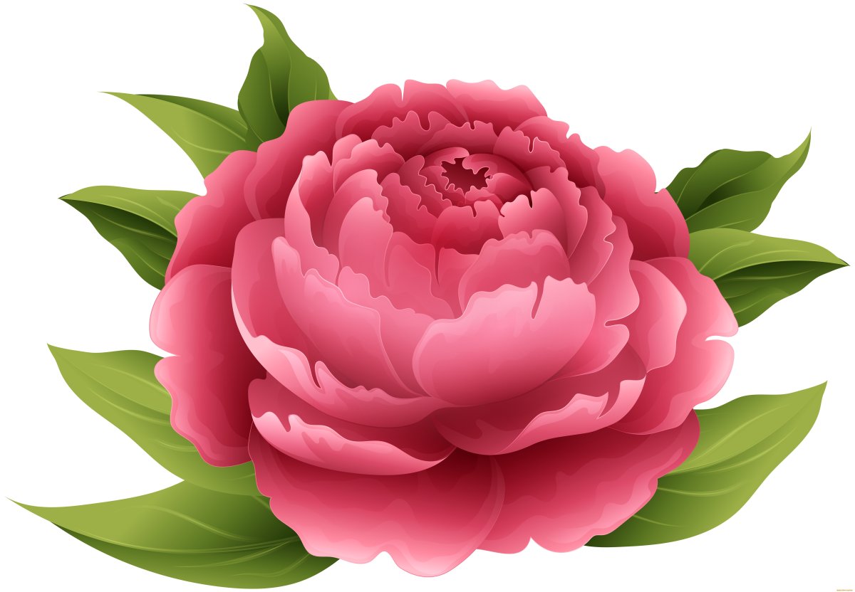 Peony Винтаж