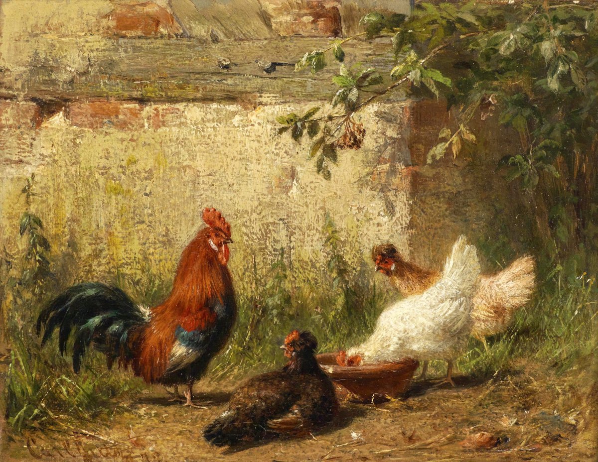 Курица с цыплятами