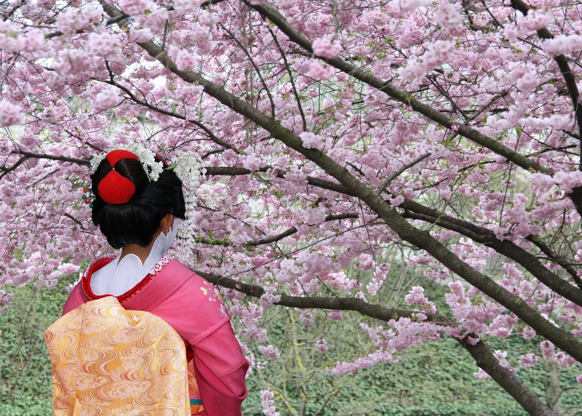 Праздник цветения персика в Японии
