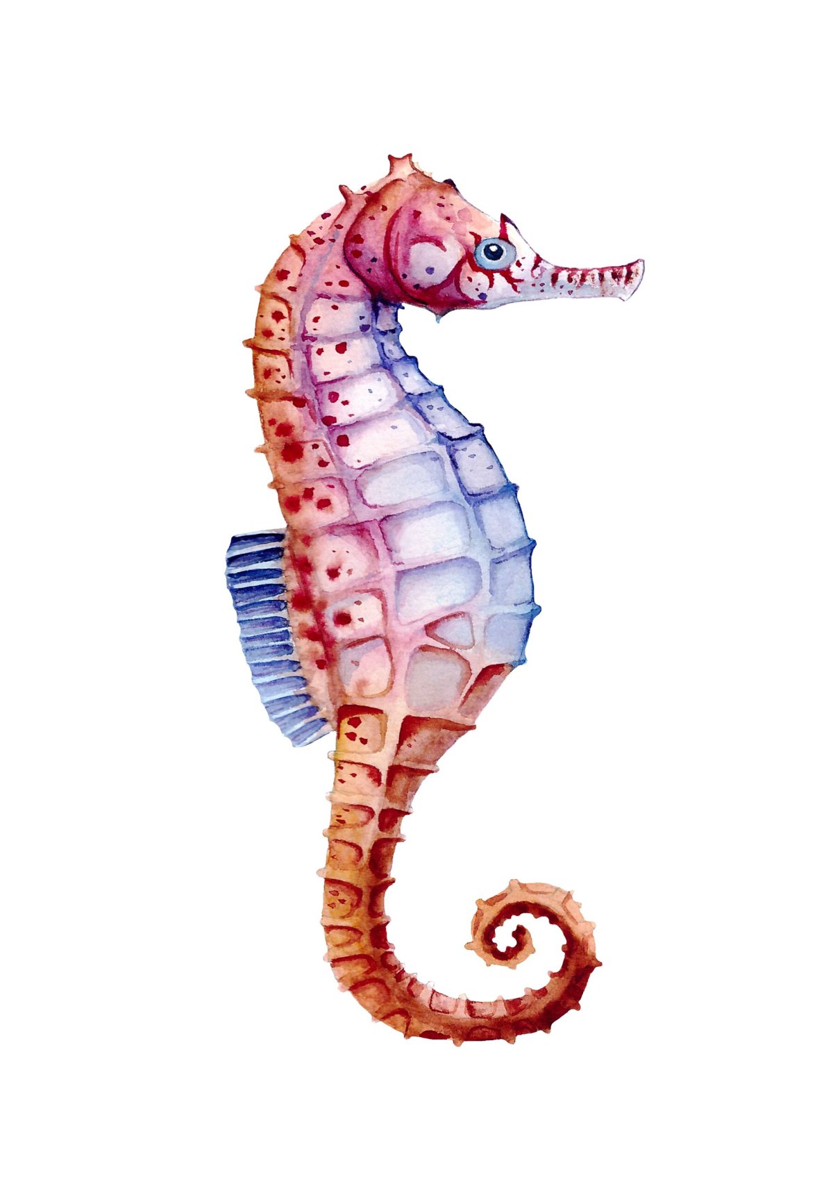 Морской конек рисунок акварелью