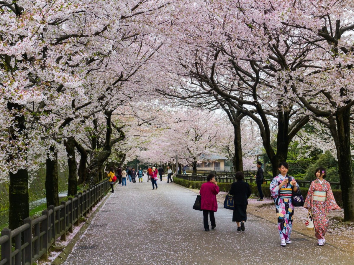 Погода в Японии весной