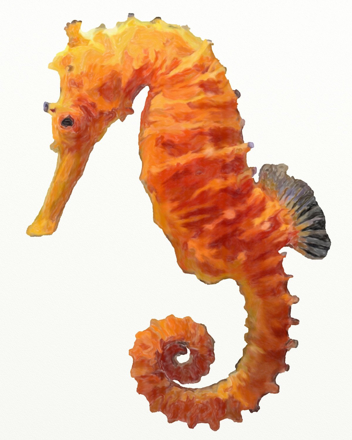 Конек МОРСКОЙНА белом воне