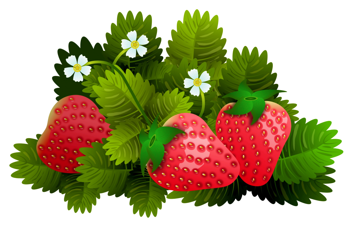 Земляника для детей