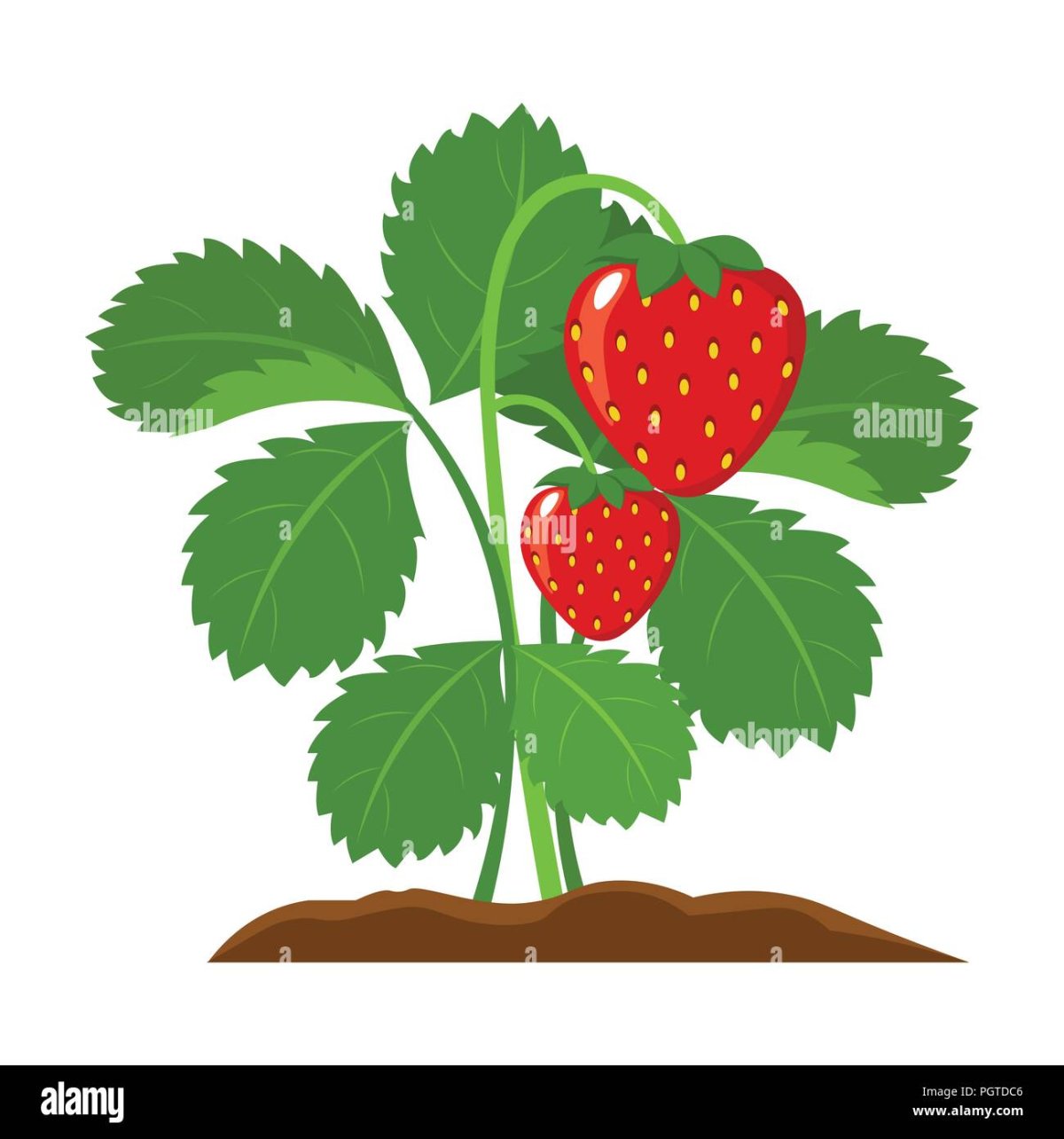 Кустик земляники для детей