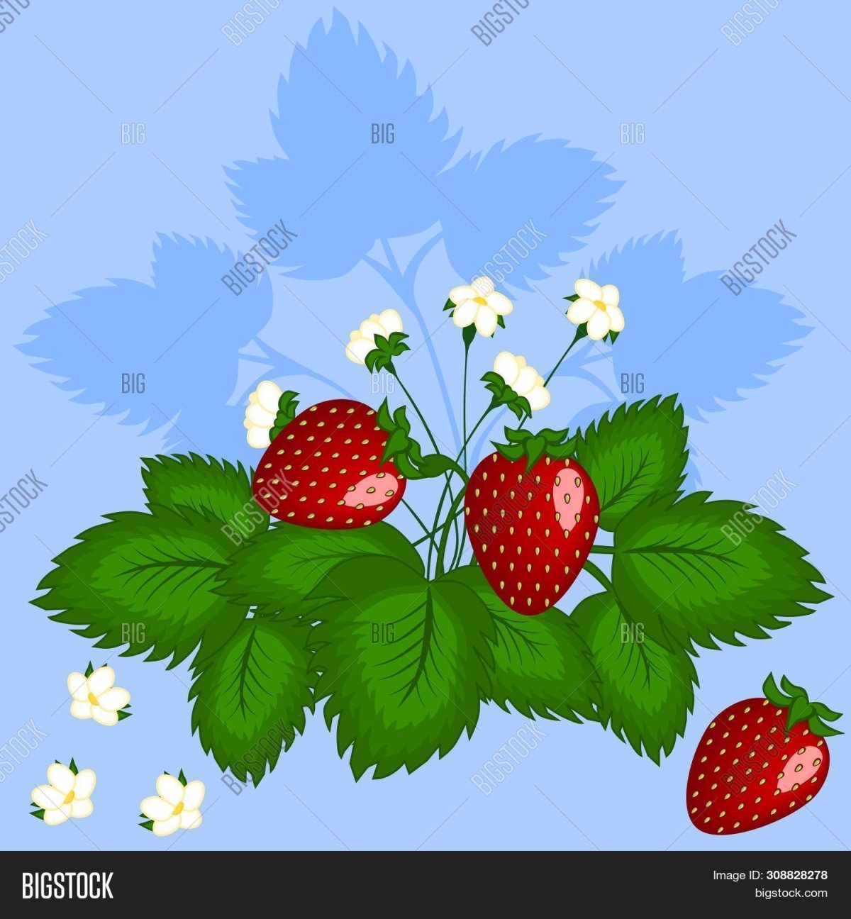 Нарисовать куст земляники