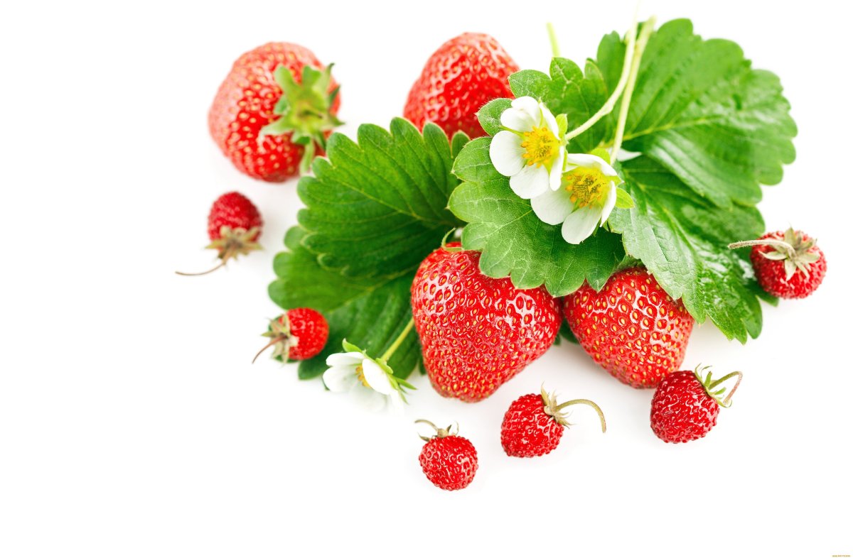 Клубника на белом фоне