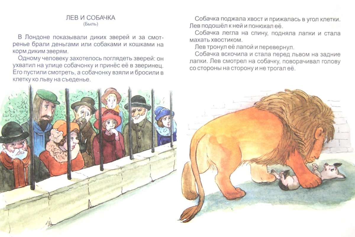 Лев Николаевич толстой рассказ Лев и собачка