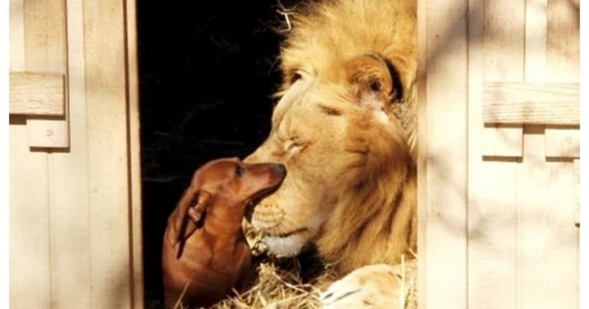 Ana Teresa Barboza Art