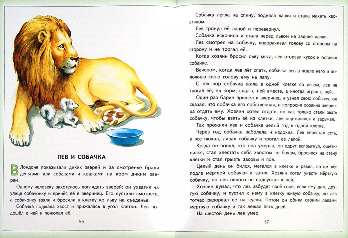 Аарон Блейс