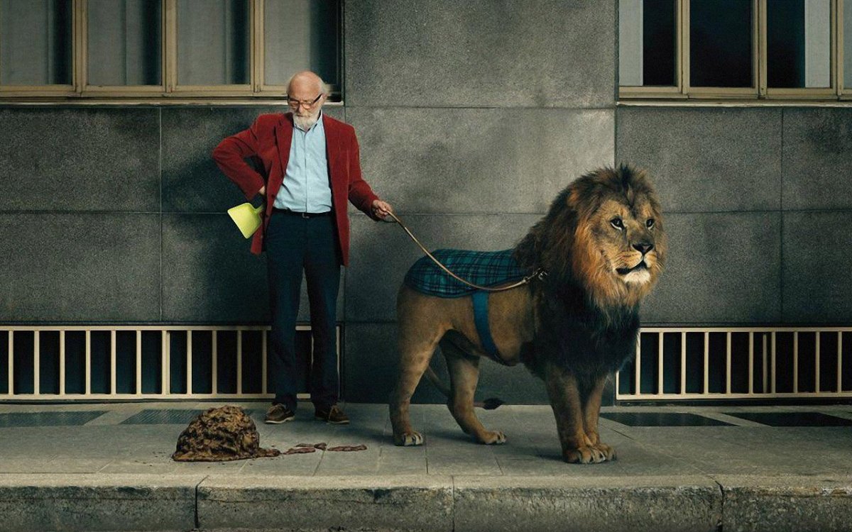 Басня собака и Лев толстой