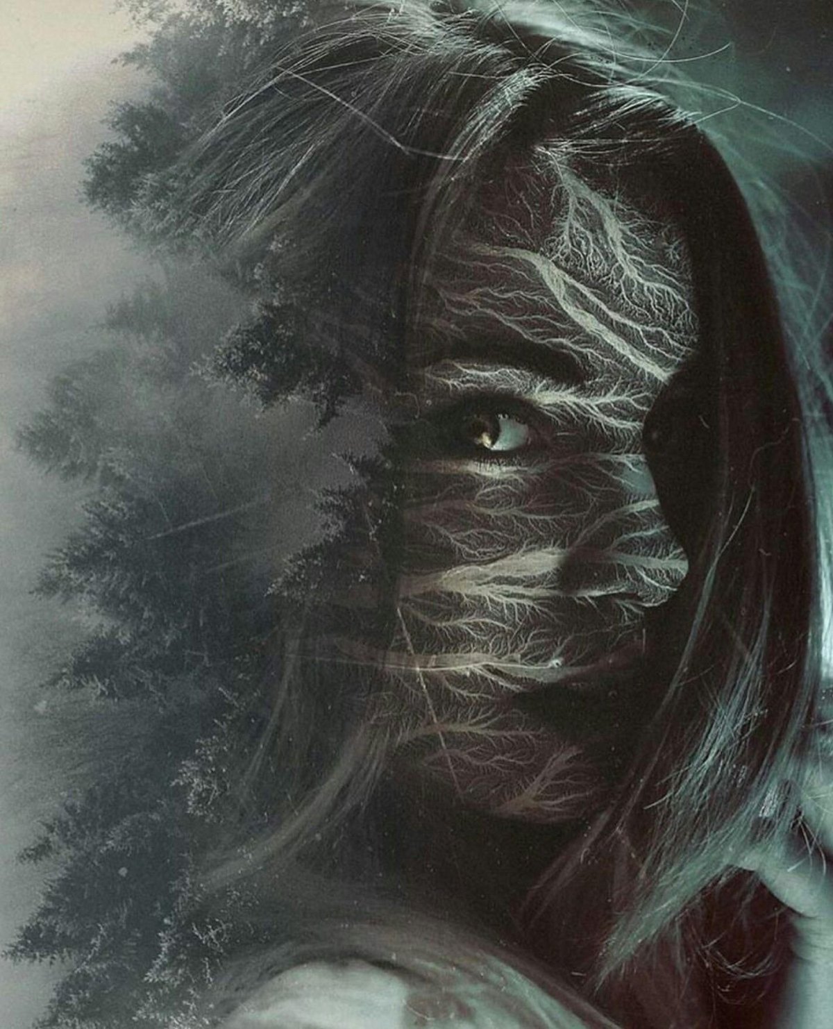 Афоризмы про ведьм