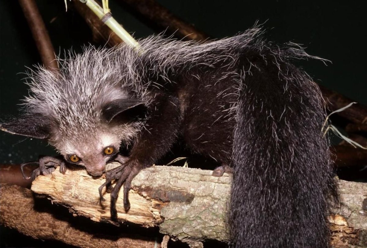 Крис и Энджи