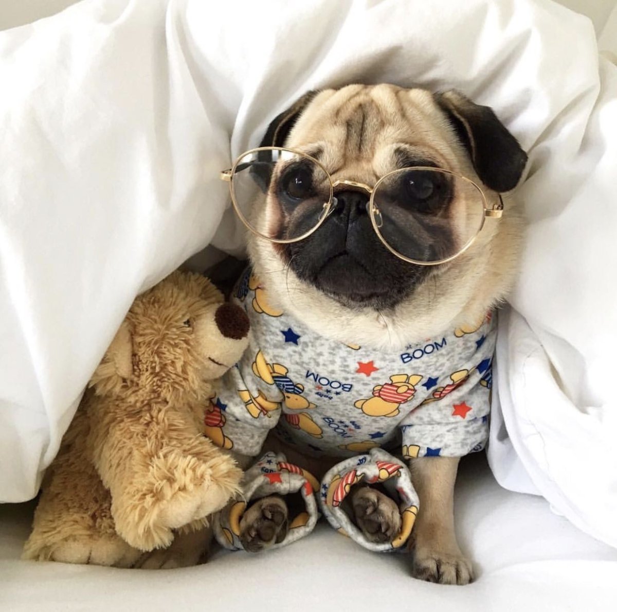 Чубася Мопс