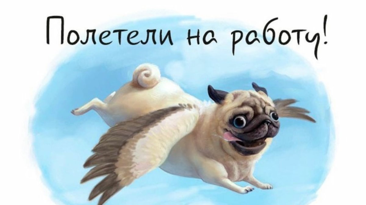 Смешные пожелания доброго утра