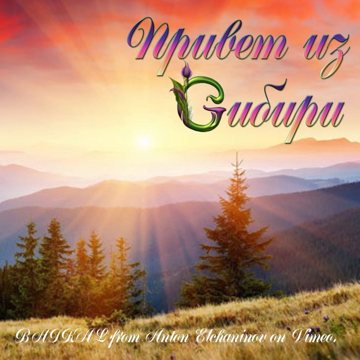 Привет из Сибири