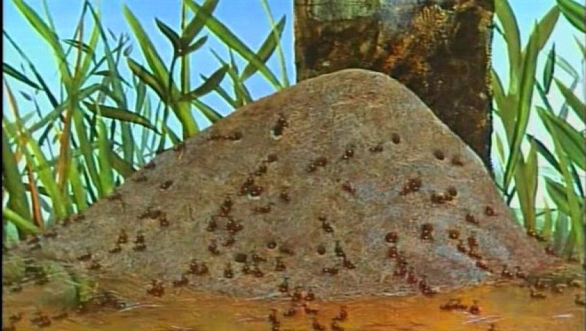 Муравей и Муравейник для детей