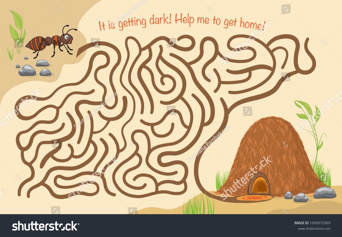 Муравейник лабиринты для детей