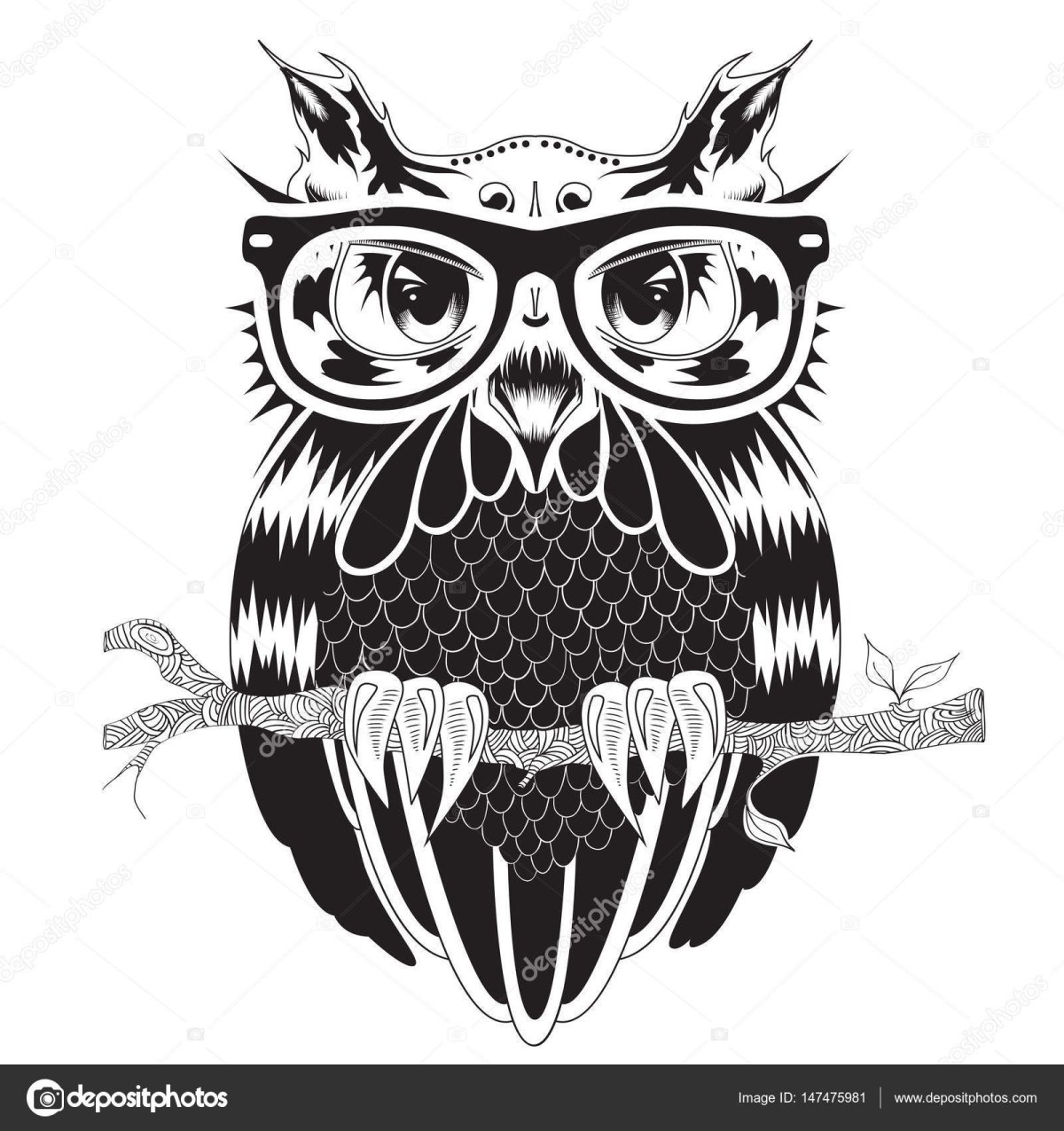 Сова в очках