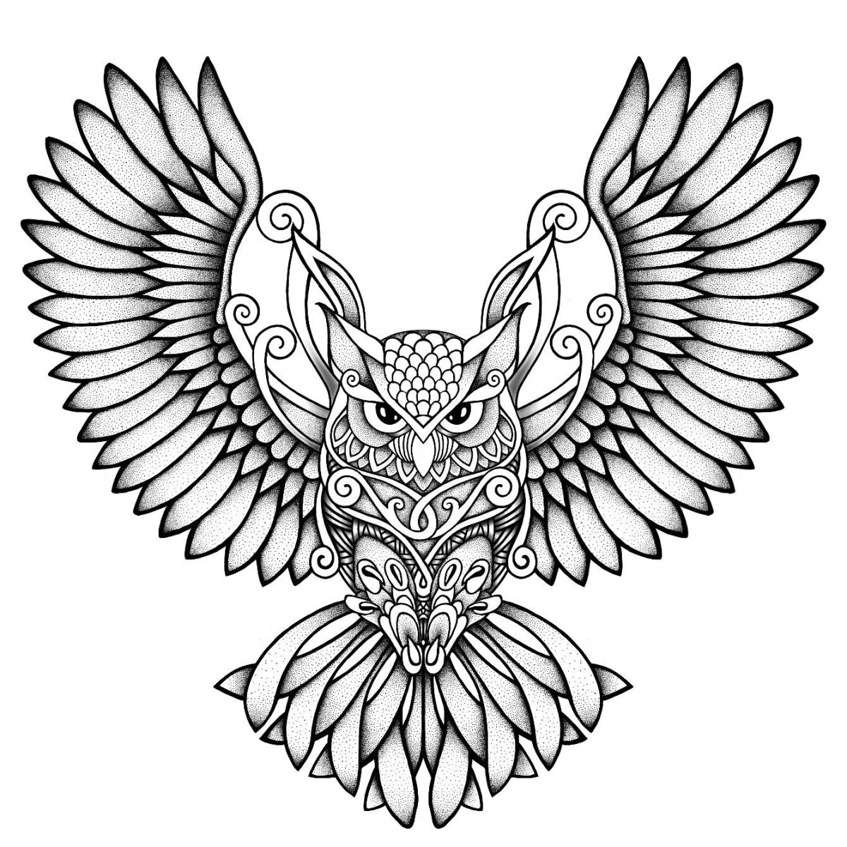 Сова с расправленными крыльями эскиз