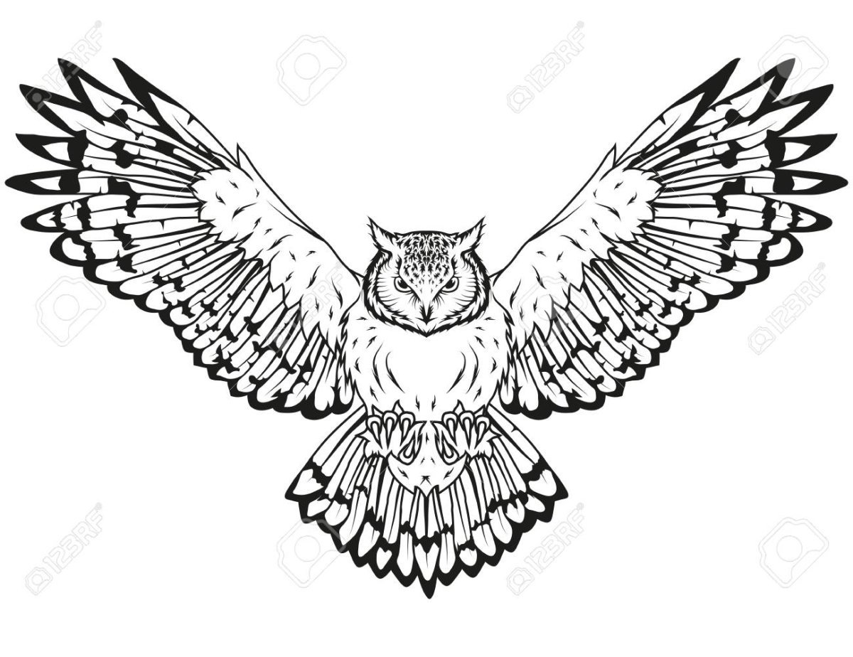 Сова с расправленными крыльями эскиз