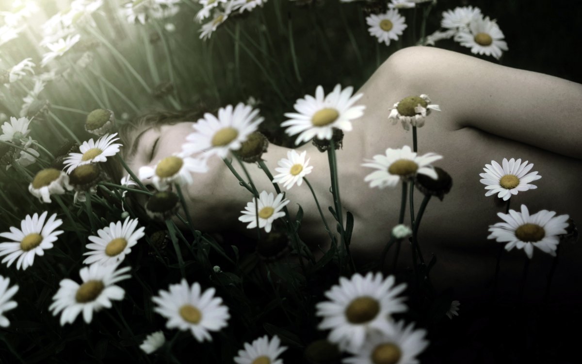 Парень с ромашками Эстетика