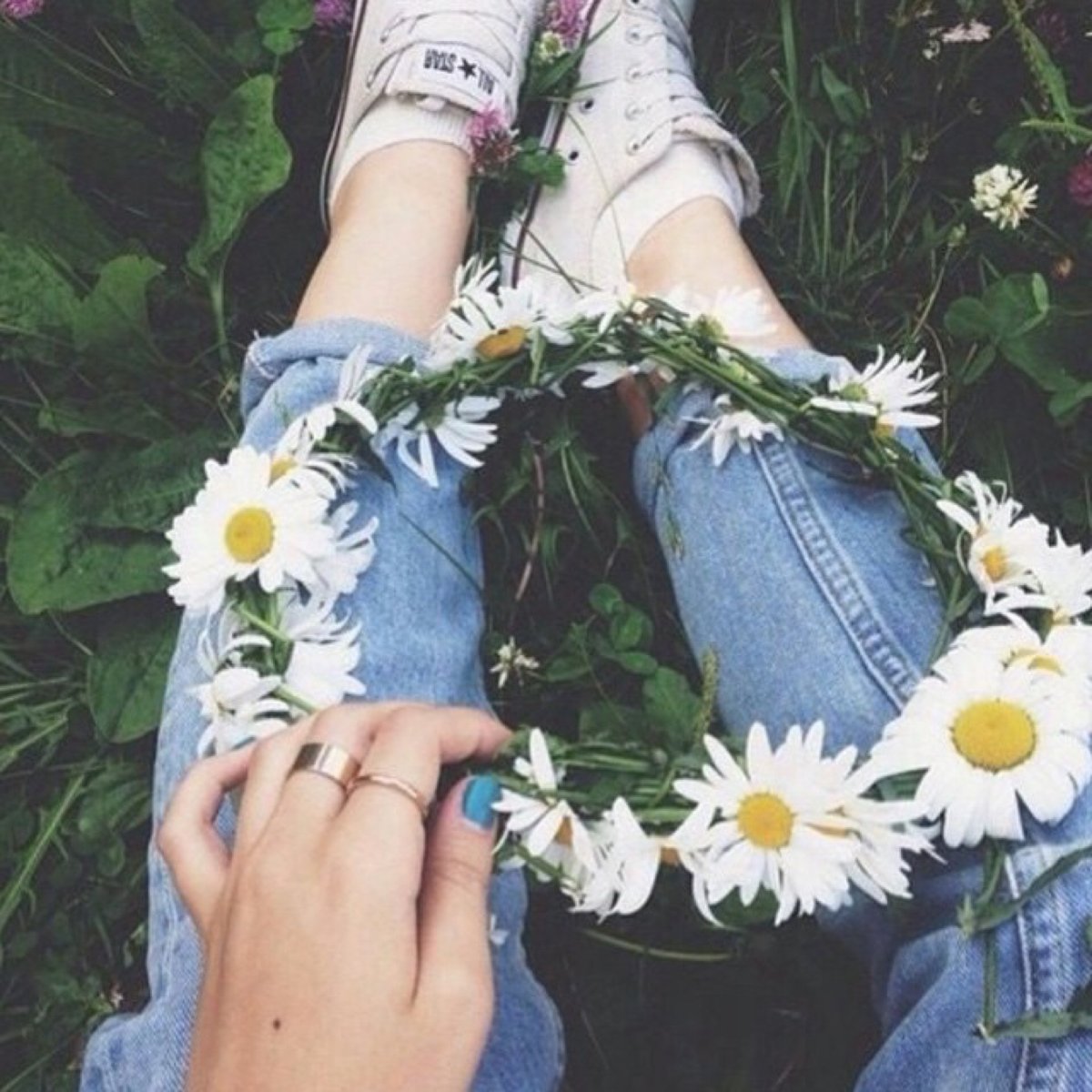 Сердечко из ромашек