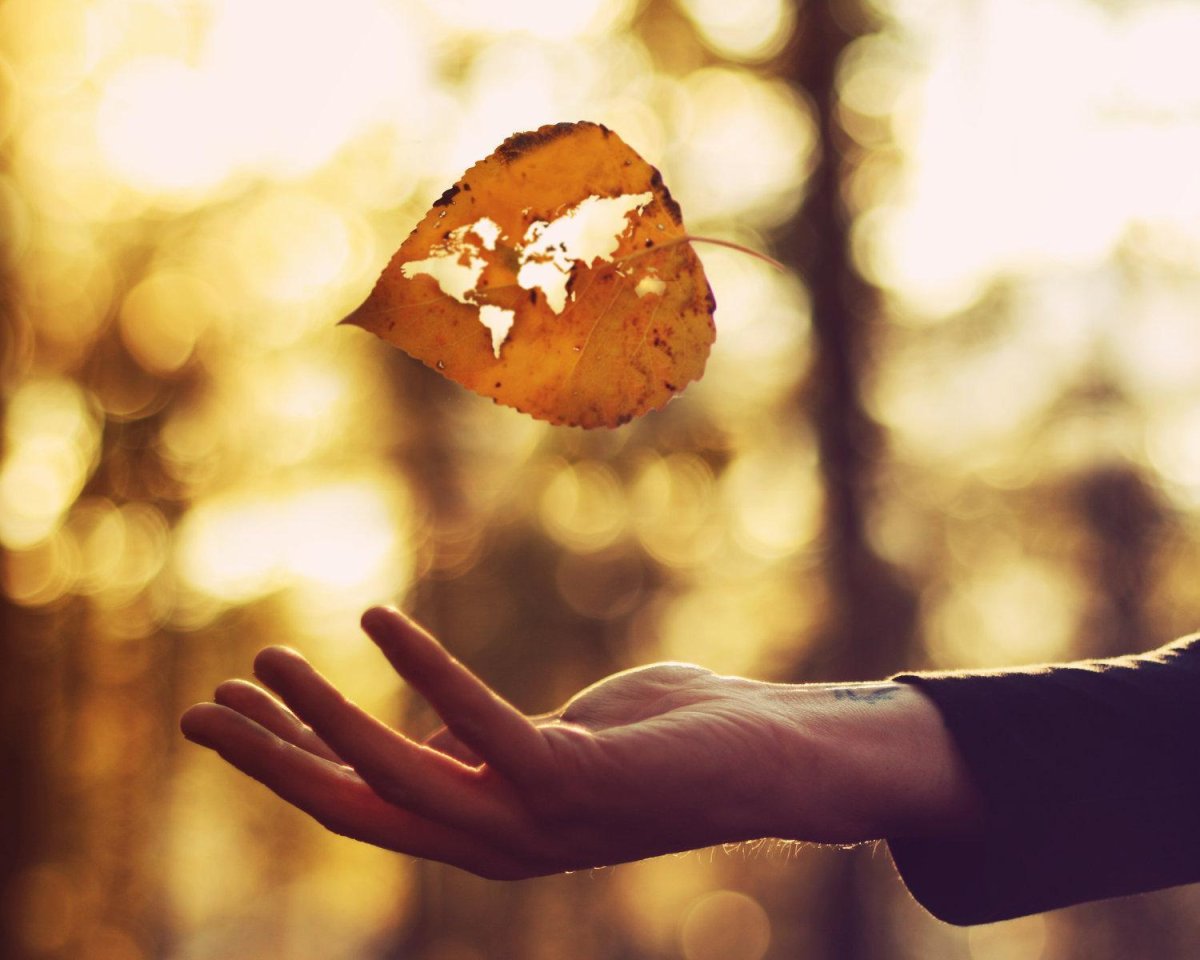 Счастье в ладошках осень