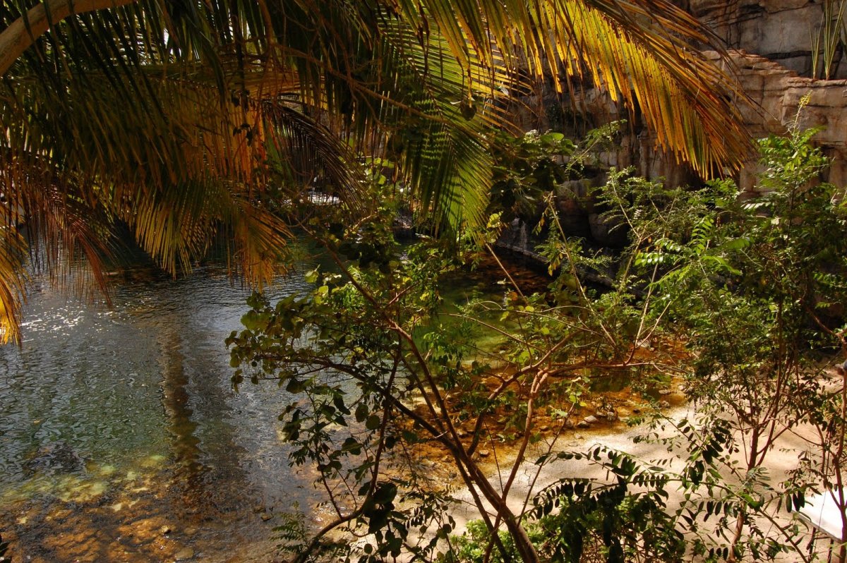 Замкнутая природа