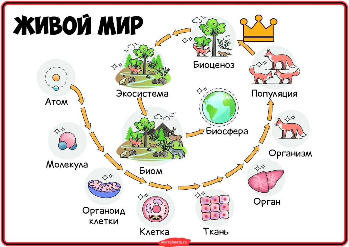 Биосфера плакат