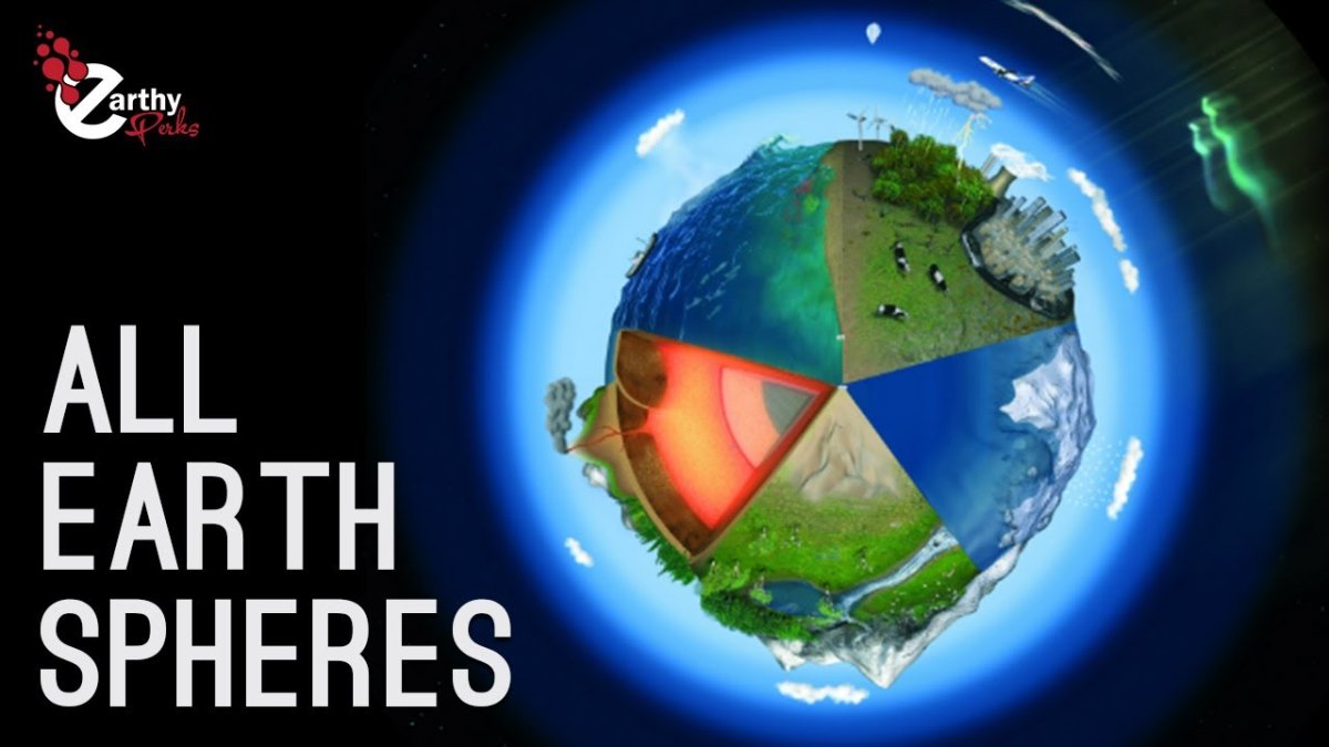 Биосфера животные