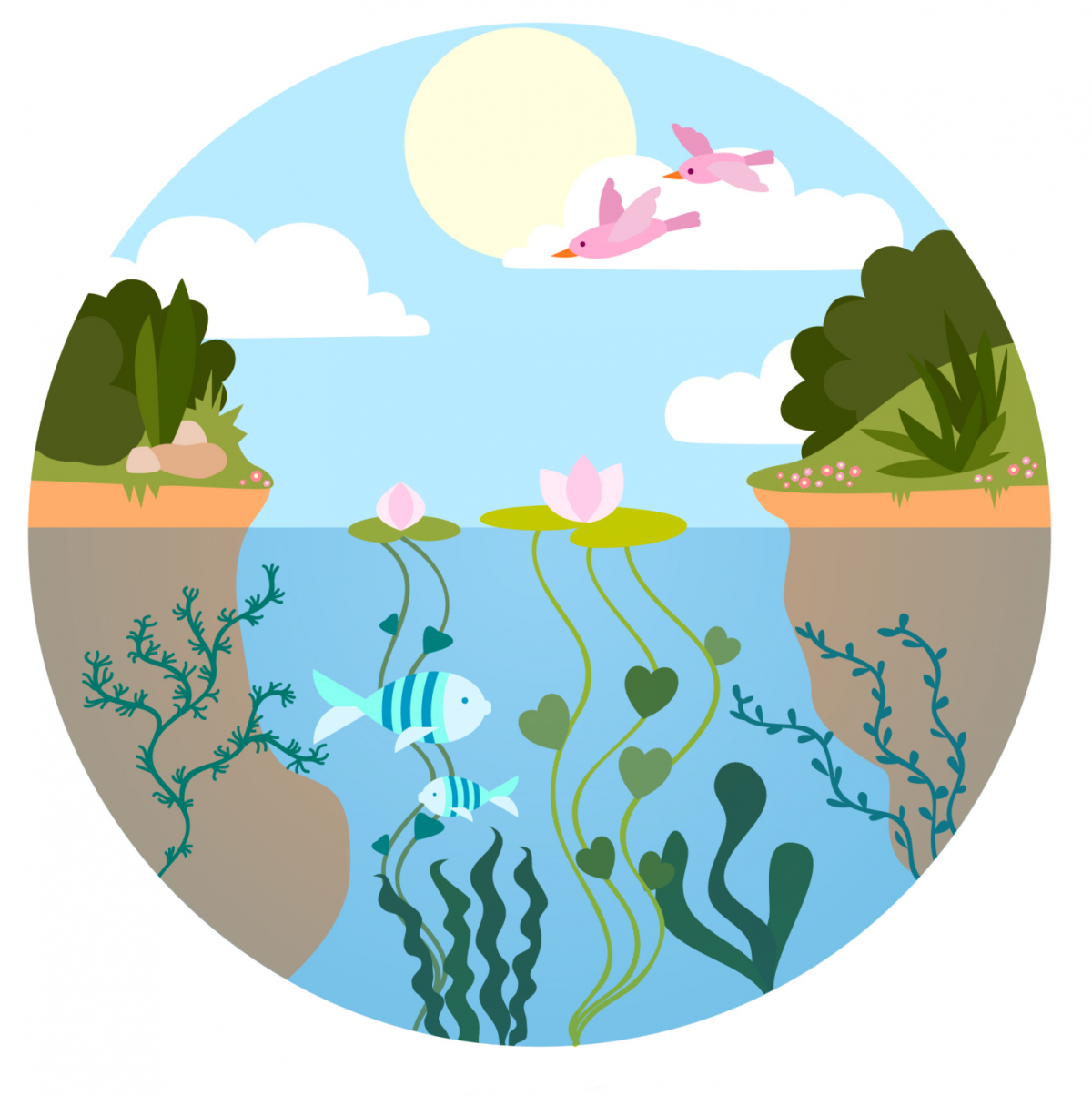 Биологическая экология