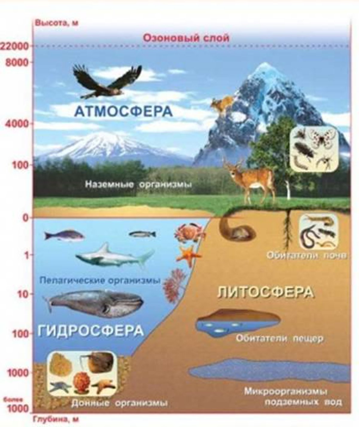 Спасти землю