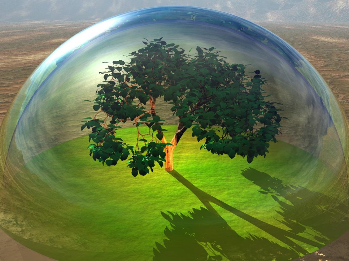 Биосфера Живая оболочка планеты