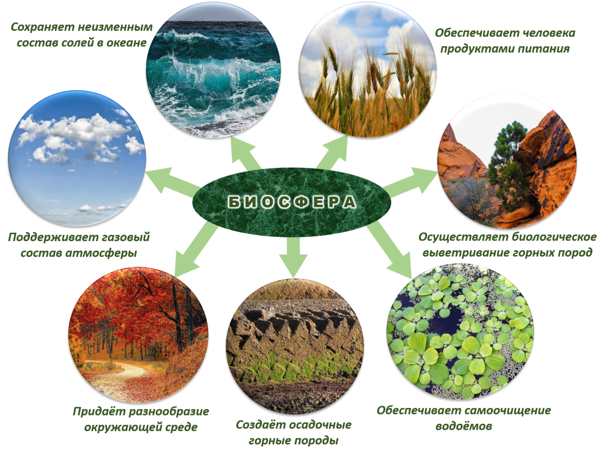 Планета земля экология