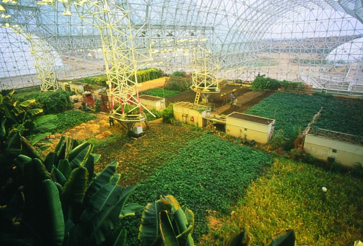 Круговорот веществ и энергии в биосфере схема