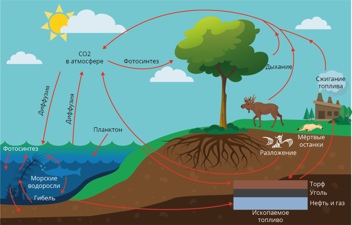 Зеленый план