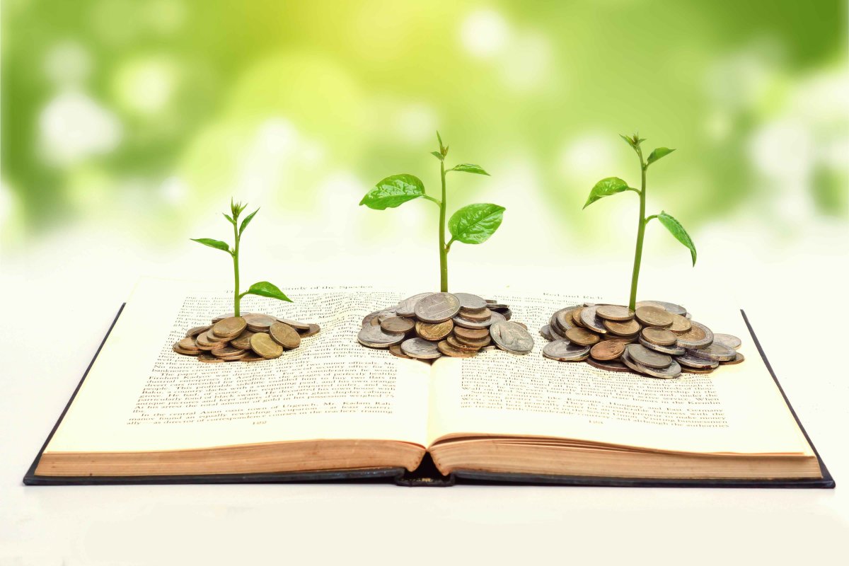 Финансовые книги рисунок