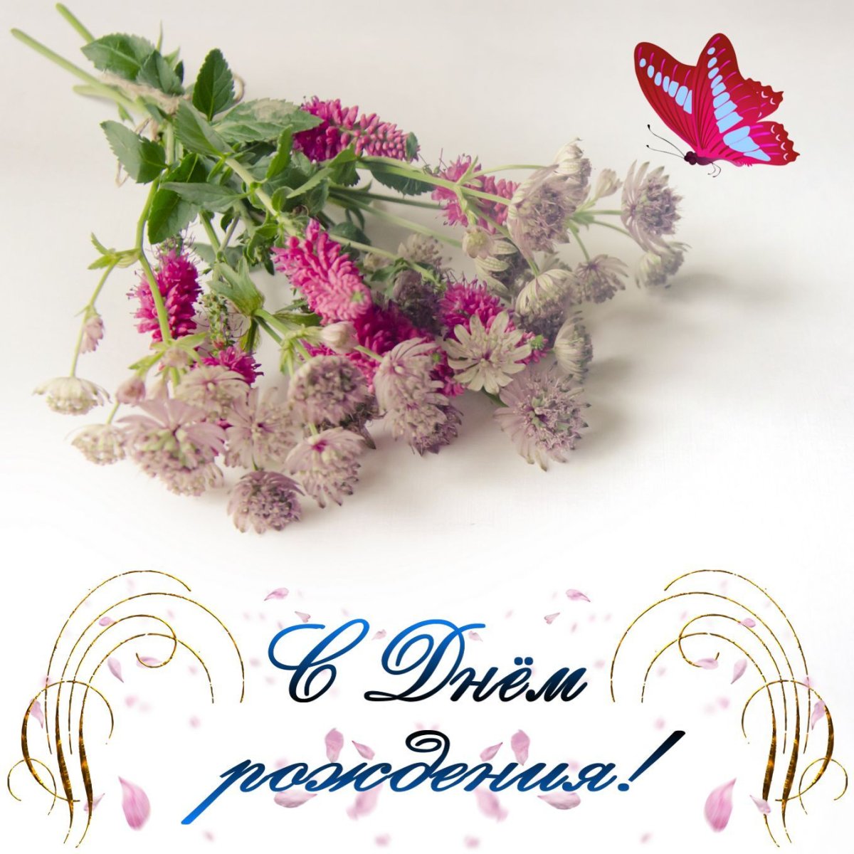 Открытки с днём рождения с полевыми цветами