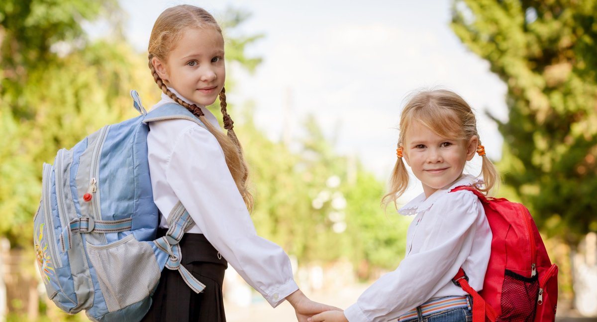 Дорога в школу